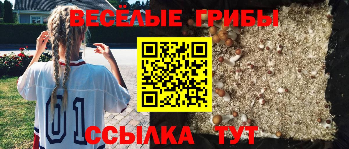 NBOMe Воркута